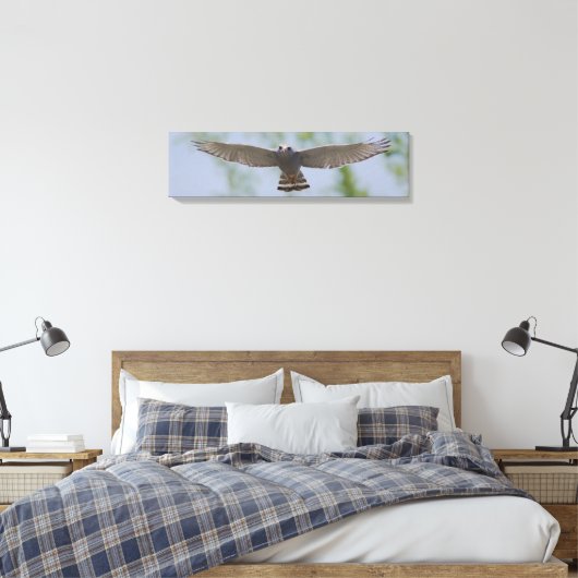 Grauer Hawk in Friedlichen Leinwand (Insitu (Schlafzimmer))