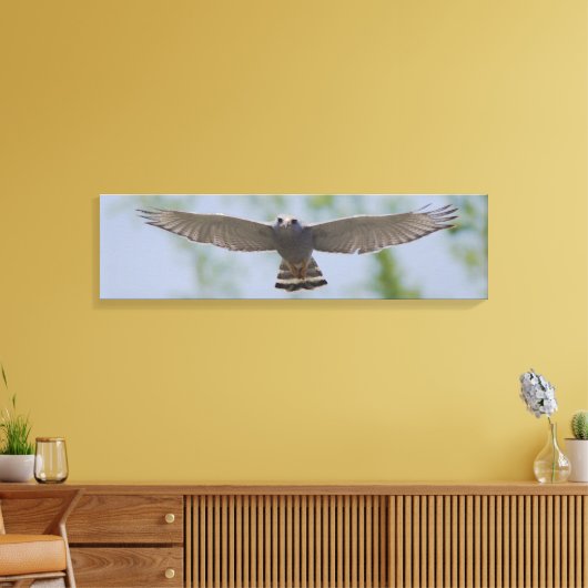 Grauer Hawk in Friedlichen Leinwand (Insitu (Wohnzimmer))