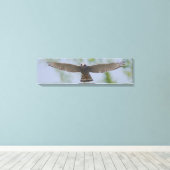 Grauer Hawk in Friedlichen Leinwand (Insitu (Holzboden))