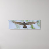 Grauer Hawk in Friedlichen Leinwand (Vorderseite)