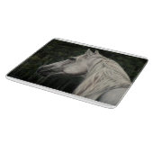 Grauer Hengst blickt in die Ferne Schneidebrett (Ecke)