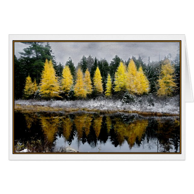 Grauer Himmel über Tamarack Bog (Vorderseite (Horizontal))