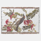 Grauer Kingbird Audubon Bird über blühenden Baum Decke (Vorderseite)