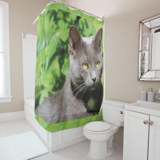 Grauer Kitty Cat Duschvorhang (Beispiel)