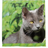 Grauer Kitty Cat Duschvorhang (Vorderseite)
