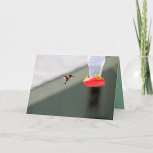 Grauer kleiner Landsmann Karte