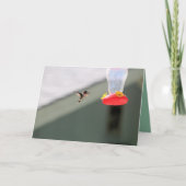 Grauer kleiner Landsmann Karte (Vorderseite)