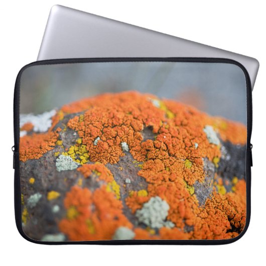 Grauer Lichen-Orange-Moosstein Laptopschutzhülle (Vorderseite)