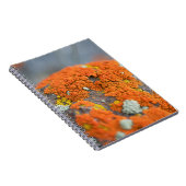 Grauer Lichen-Orange-Moosstein Notizblock (Rechte Seite)