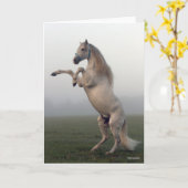 Grauer Lusitano-Hengst in Nebel Karte (Gelbe Blume)