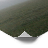 Grauer Lusitano-Hengst in Nebel Poster (Ecke)