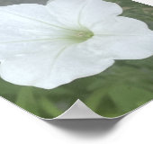 grauer oder weißer floraler Poter Poster (Ecke)