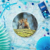 (Grauer) Pappteller des Eichhörnchens (Party)