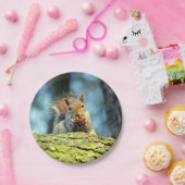 (Grauer) Pappteller des Eichhörnchens (Party)