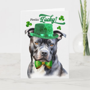 Grauer Pit Bull Hund fühlt sich am St. Patrick's D Feiertagskarte