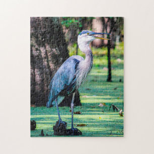 Grauer Reiher Louisana. Puzzle