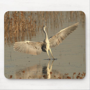 Grauer Reiher Mousepad