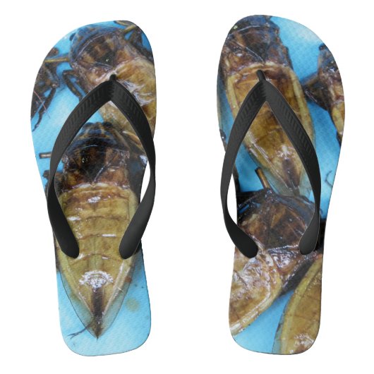 Grauer Riesenwasserbug (Maeng Daa) ... asiatisches Badesandalen (Fußbett)