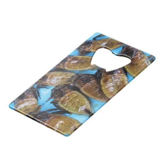 Grauer Riesenwasserbug (Maeng Daa) ... asiatisches Geldbeutel Flaschenöffner (Vorderseite Schrägansicht)