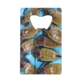 Grauer Riesenwasserbug (Maeng Daa) ... asiatisches Geldbeutel Flaschenöffner (Rückseite)