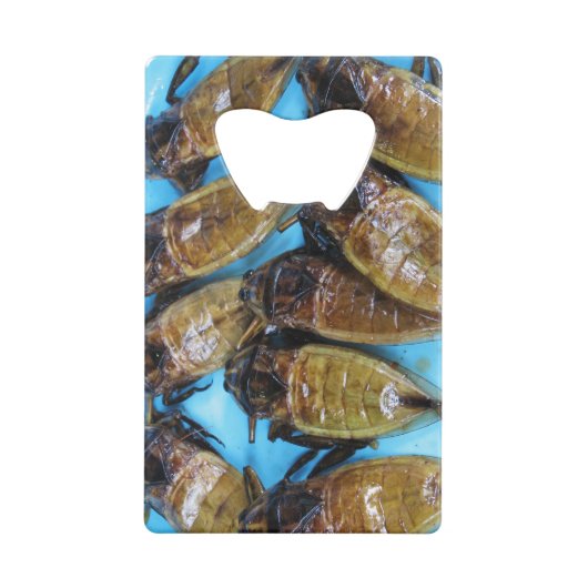 Grauer Riesenwasserbug (Maeng Daa) ... asiatisches Geldbeutel Flaschenöffner (Rückseite)