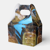 Grauer Riesenwasserbug (Maeng Daa) ... asiatisches Geschenkschachtel (Rückseite)