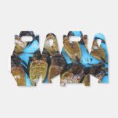 Grauer Riesenwasserbug (Maeng Daa) ... asiatisches Geschenkschachtel (Ungefaltet)