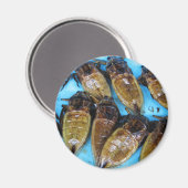 Grauer Riesenwasserbug (Maeng Daa) ... asiatisches Magnet (Vorderseite/Rückseite)