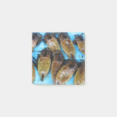 Grauer Riesenwasserbug (Maeng Daa) ... asiatisches Post-it Klebezettel (Vorderseite)