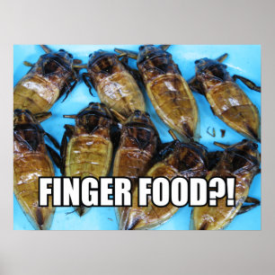 Grauer Riesenwasserbug (Maeng Daa) ... asiatisches Poster