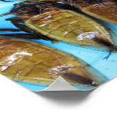 Grauer Riesenwasserbug (Maeng Daa) ... asiatisches Poster (Ecke)