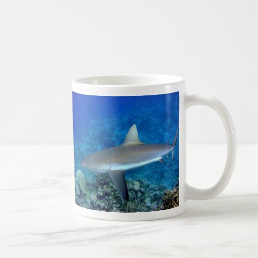 Grauer Riff-Haifisch Kaffeetasse (Rechts)