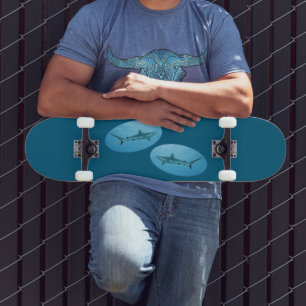 Grauer Riffhai, Yap Island - Fotodesign   Skateboard