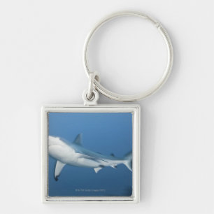 Grauer Rifhaifisch (Carcharhinus amblyrhynchos) Schlüsselanhänger
