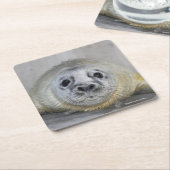 Grauer Siegel-Welpe Rechteckiger Pappuntersetzer (angewinkelt)