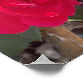 grauer Tag Roter Blumen Druck Poster (Ecke)