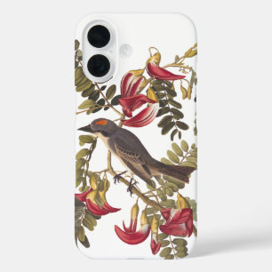 Grauer Tyrann Audubon-Vogel auf Kolibribaum iPhone 16 Hülle