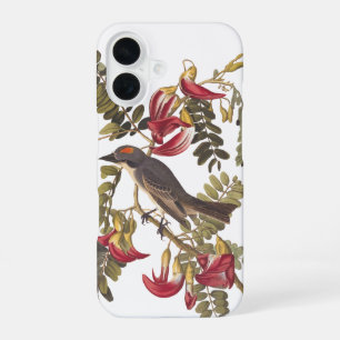 Grauer Tyrann Audubon-Vogel auf Kolibribaum iPhone 16 Hülle