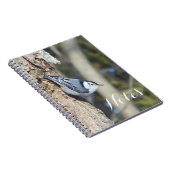 Grauer und weißer Nuthath-Vogel Notizblock (Rechte Seite)