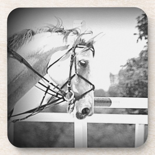 Grauer Untersetzer (Vorderseite)