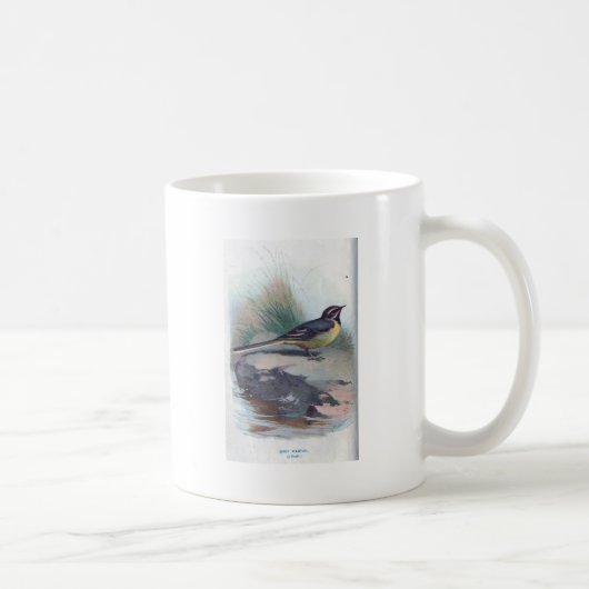 Grauer Wagtail Kaffeetasse (Rechts)