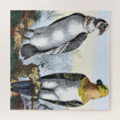 Grauer Weißer Kondor Gelber Adler Puzzle (Horizontal)