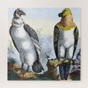 Grauer Weißer Kondor Gelber Adler Puzzle