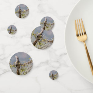 Grauer Wildvogel Konfetti