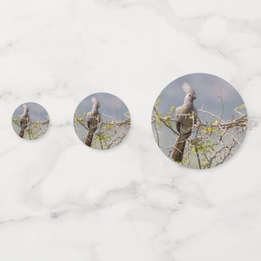 Grauer Wildvogel Konfetti (Rückseiten)