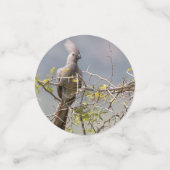 Grauer Wildvogel Konfetti (Klein Vorderseite)