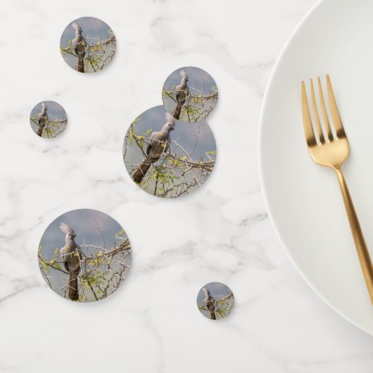 Grauer Wildvogel Konfetti (Gruppe)