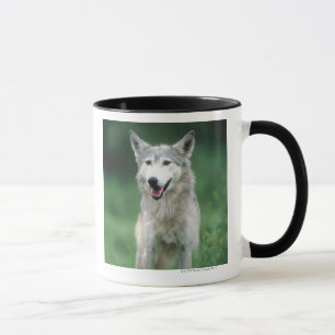 Grauer Wolf 2 Tasse