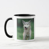 Grauer Wolf 2 Tasse (Links)