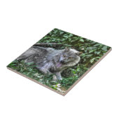 Grauer Wolf 3 Wildlife-Geschenk Fliese (Seite)